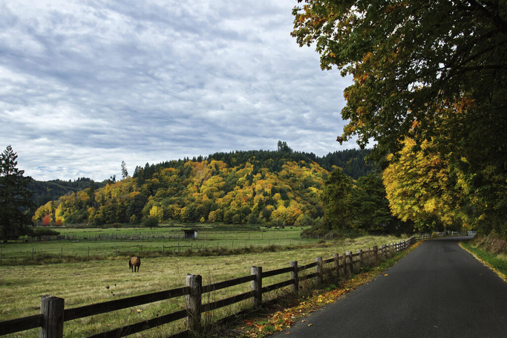 Autumn's Palette