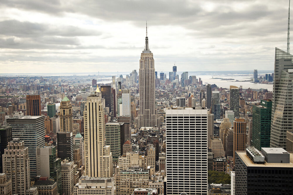 Manhattan's Urban Jungle