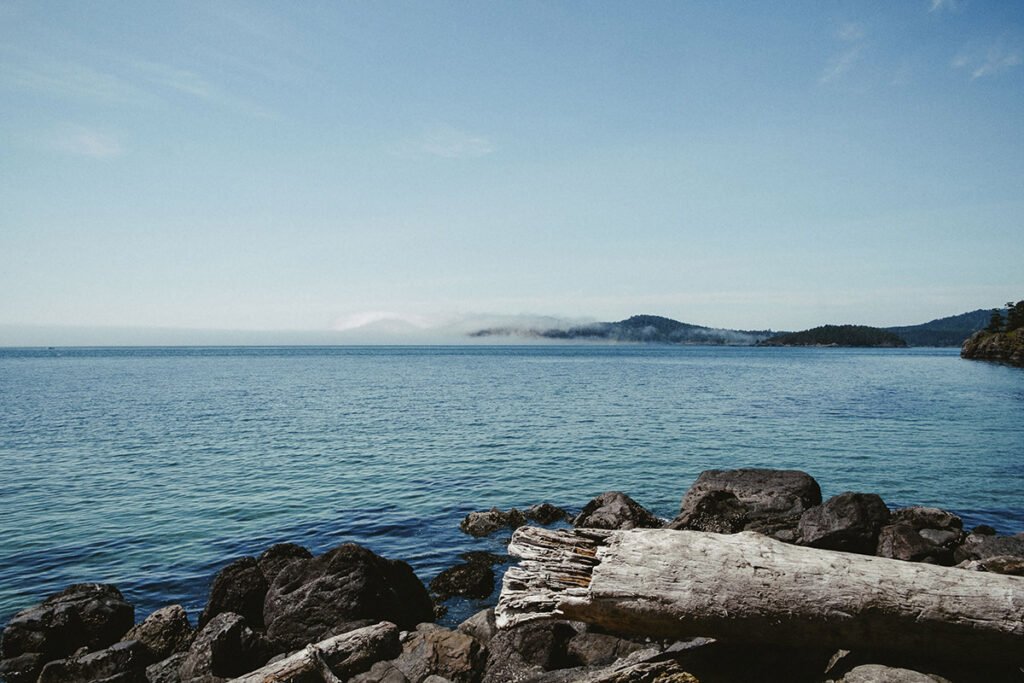 Seaside Solitude