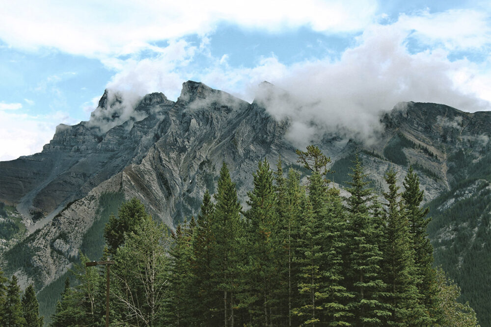 Misty Mountain Majesty