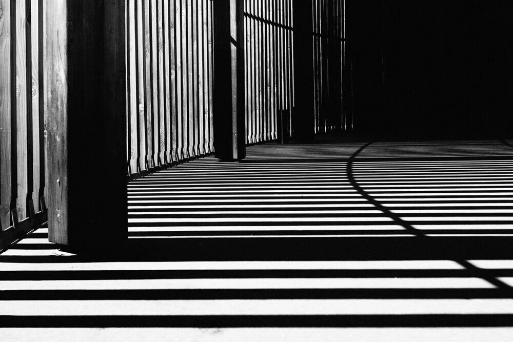 Desert Architectonics