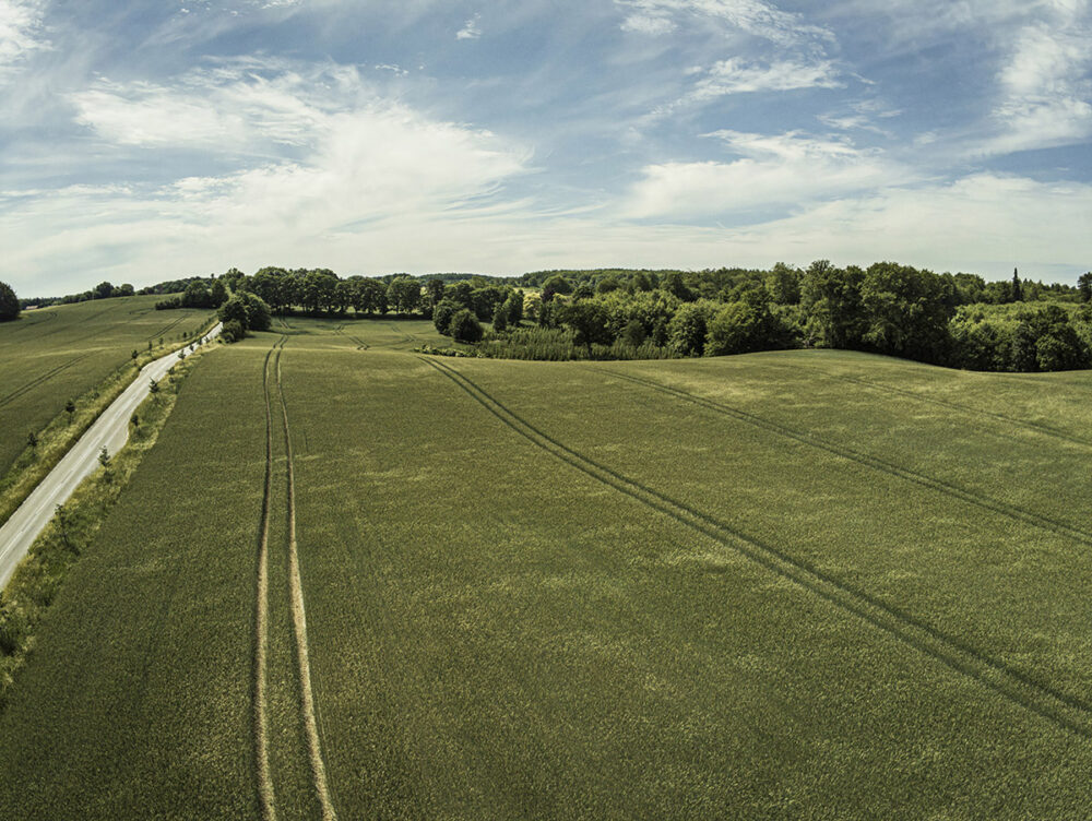 Curves of Nature's Bounty