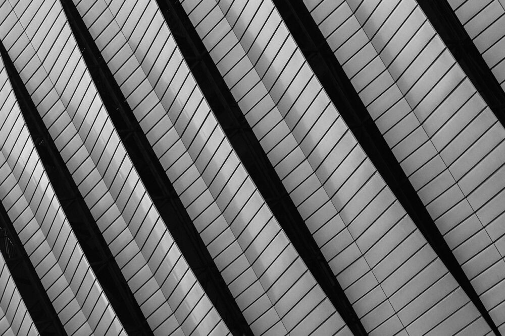 Zebra of Architecture