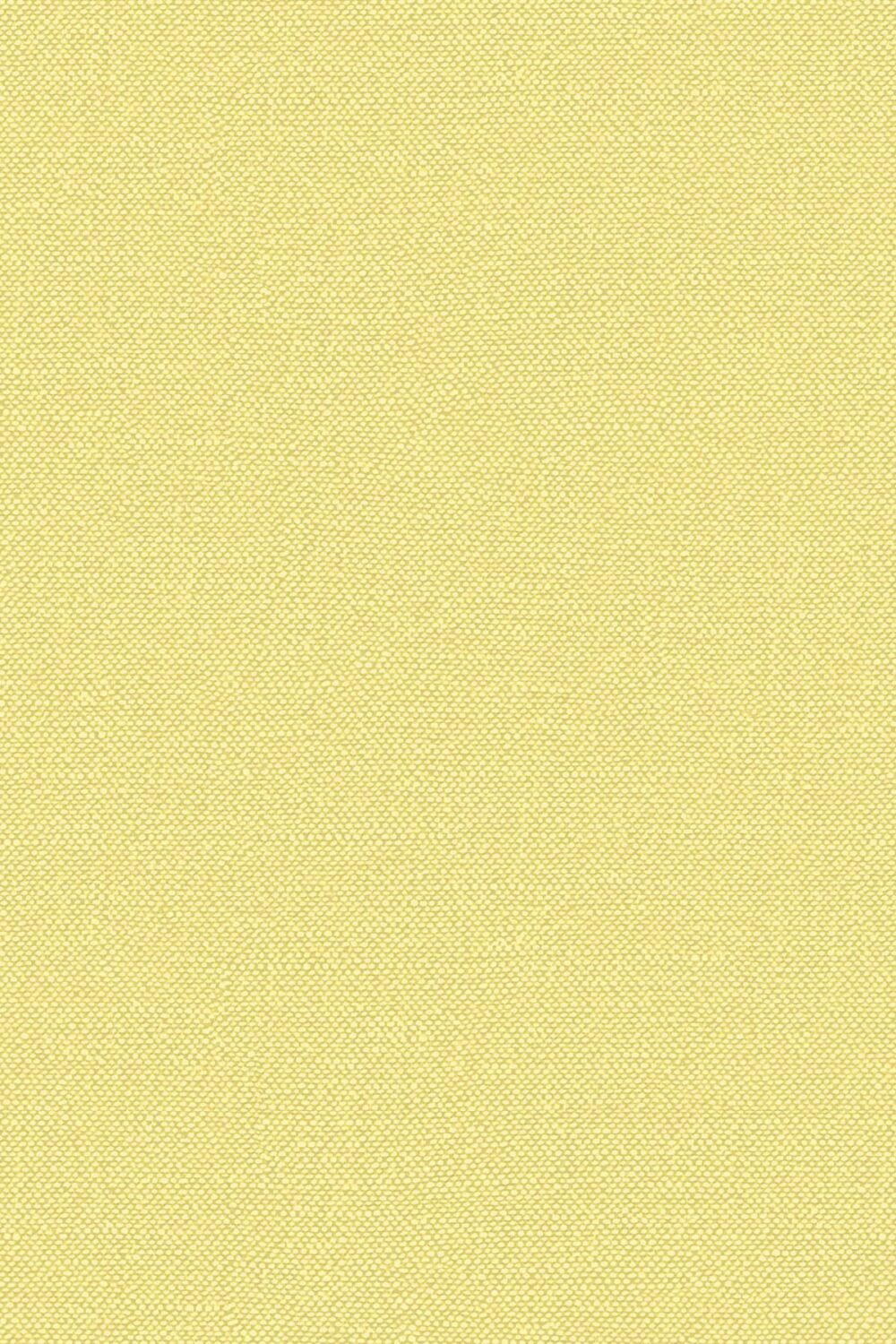 Accent Yellow