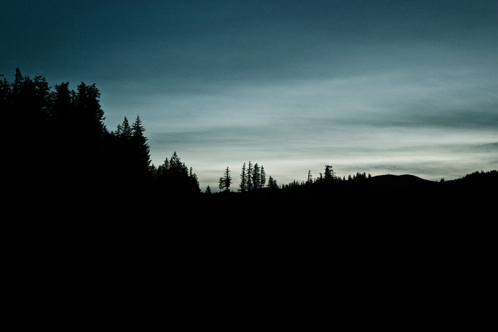 Forest Silhouette at Sunset