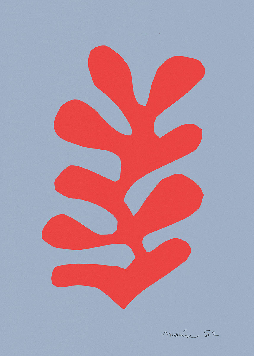Red Algae